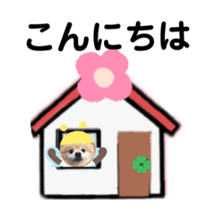 [LINEスタンプ] ポメぽめハッチの日常