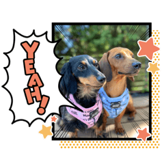 [LINEスタンプ] Julie ＆ Kengo 2