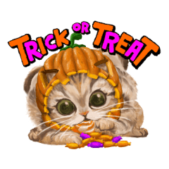 [LINEスタンプ] ハッピーハロウイン可愛いスコッティシュ