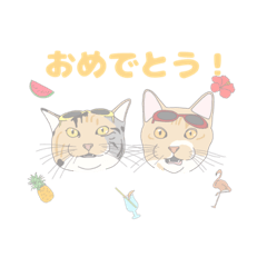 [LINEスタンプ] my favorite illustrations of cats