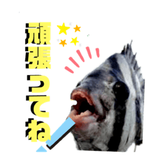 [LINEスタンプ] 釣魚達からの楽しいメッセージスタンプ2