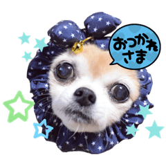[LINEスタンプ] 楽しく過ごそう♪