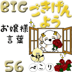 [LINEスタンプ] 【Big】シーズー56『お嬢様言葉』黄色系