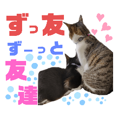 [LINEスタンプ] 小春びより…2