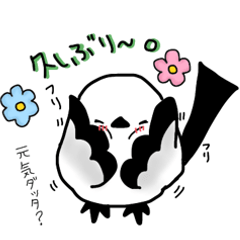 [LINEスタンプ] まずはコレ！シマエナガのポンちゃん挨拶編