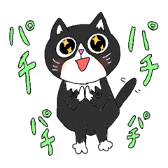 [LINEスタンプ] 白黒 てんつくスタンプ