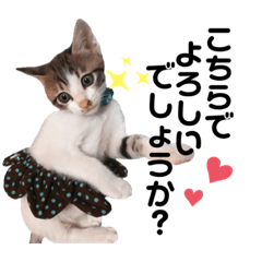 [LINEスタンプ] 猫のぐりの使い勝手良さげでそうでもない 2