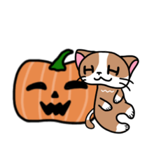 [LINEスタンプ] とろとろねこ。〜七変化〜