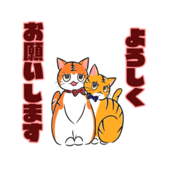 [LINEスタンプ] 日常☆茶トラ猫