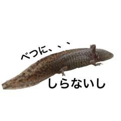 [LINEスタンプ] コロモンの1日