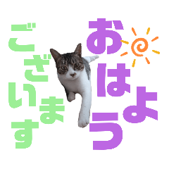 [LINEスタンプ] 小春びより-2