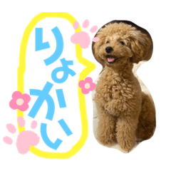 [LINEスタンプ] ぱる君すたんぷ