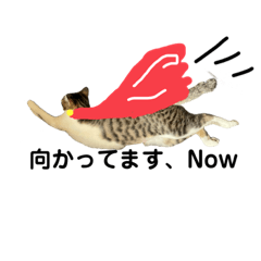 [LINEスタンプ] おそらはん①