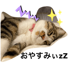 [LINEスタンプ] むげりん