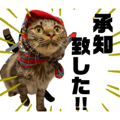 [LINEスタンプ] 猫のチューイくん。ツー