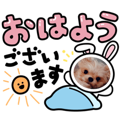 [LINEスタンプ] まとふぁみ2