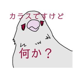 [LINEスタンプ] からすだらけ