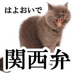 [LINEスタンプ] ぶさかわいい猫のスタンプ関西弁：シンプル
