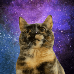 [LINEスタンプ] おもろい動物たち