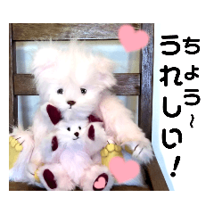 [LINEスタンプ] 可愛いテディベア達 女性用 オシャレ動物～