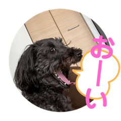[LINEスタンプ] ベアたん2