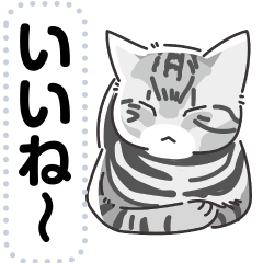 [LINEスタンプ] 猫様いっぱい〜香箱座り その3〜