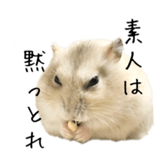 [LINEスタンプ] 表情豊かなハムスターの使いやすいスタンプ