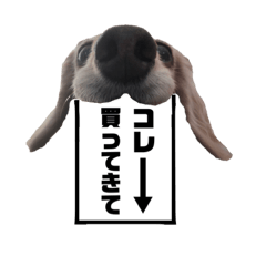 [LINEスタンプ] 犬いぬイヌ ダックス スタンプ3
