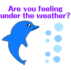 [LINEスタンプ] Dolphin Words of concern/conditionの画像（メイン）