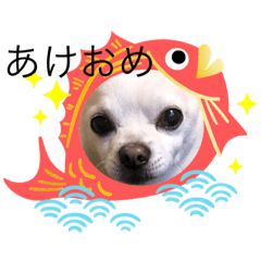 [LINEスタンプ] アイラブしんのすけ