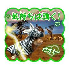 [LINEスタンプ] 第2回フォトコンテスト