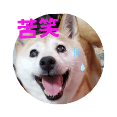 [LINEスタンプ] みんなと一緒11