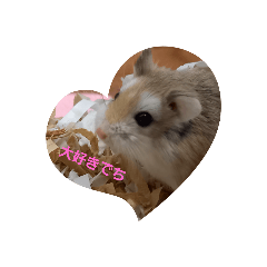 [LINEスタンプ] ロボロフスキーハムスターの日常