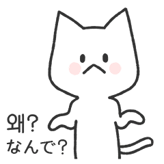 [LINEスタンプ] ニャンニャンは気になる(韓国語＆日本語）