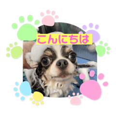 [LINEスタンプ] ちくわとゆかいな仲間たち