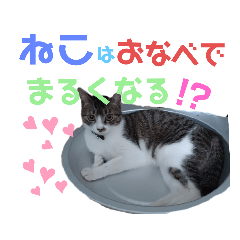 [LINEスタンプ] 小春びより-3