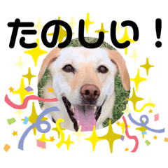 [LINEスタンプ] 毎日らぶらどーる4
