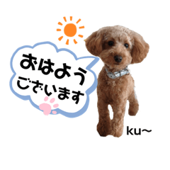 [LINEスタンプ] ku〜のスタンプ1