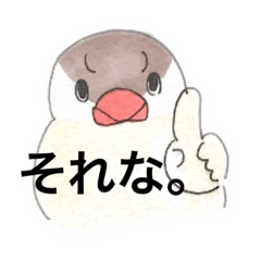 [LINEスタンプ] いつでも文鳥