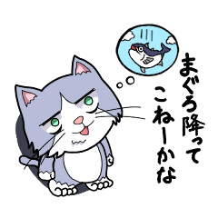 [LINEスタンプ] 人間すぎるネコ