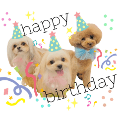 [LINEスタンプ] ポメシーチワシートイプー家族♡