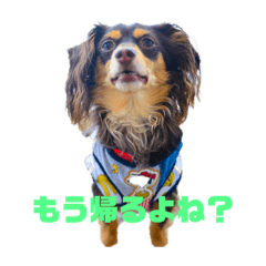 [LINEスタンプ] eight ＆chill