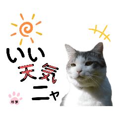[LINEスタンプ] スタンプ絵夢くん【vol.2】