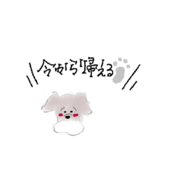 [LINEスタンプ] しゅなスタンプ♡