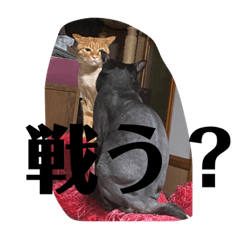 [LINEスタンプ] 個性溢れる癒し達2の画像（メイン）