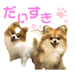 [LINEスタンプ] ぽんた＆モカ