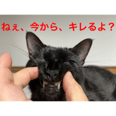 [LINEスタンプ] ルビー君のスタンプですw