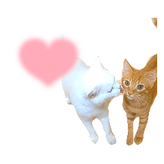 [LINEスタンプ] みるくと茶々丸