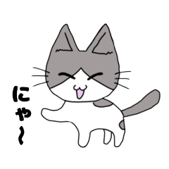 [LINEスタンプ] 開運ねこ『はちまるくん』