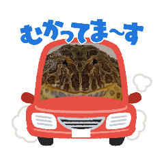 [LINEスタンプ] ベルツノガエルのべるさん